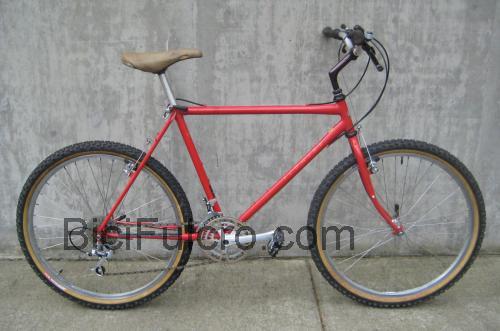 Schwinn Cimarron scheda tecnica e recensioni